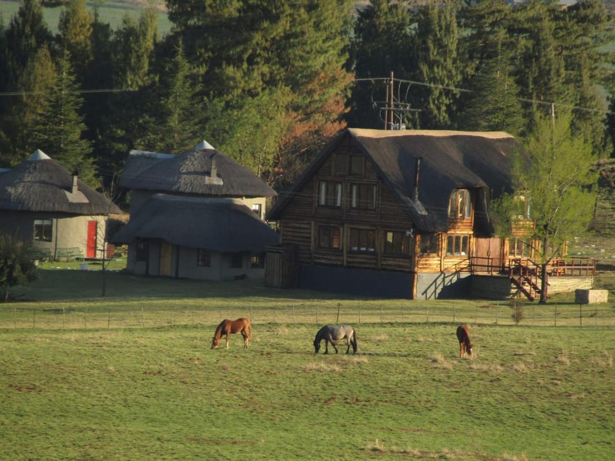 Khotso Lodge & Horse Trails 언더버그 외부 사진