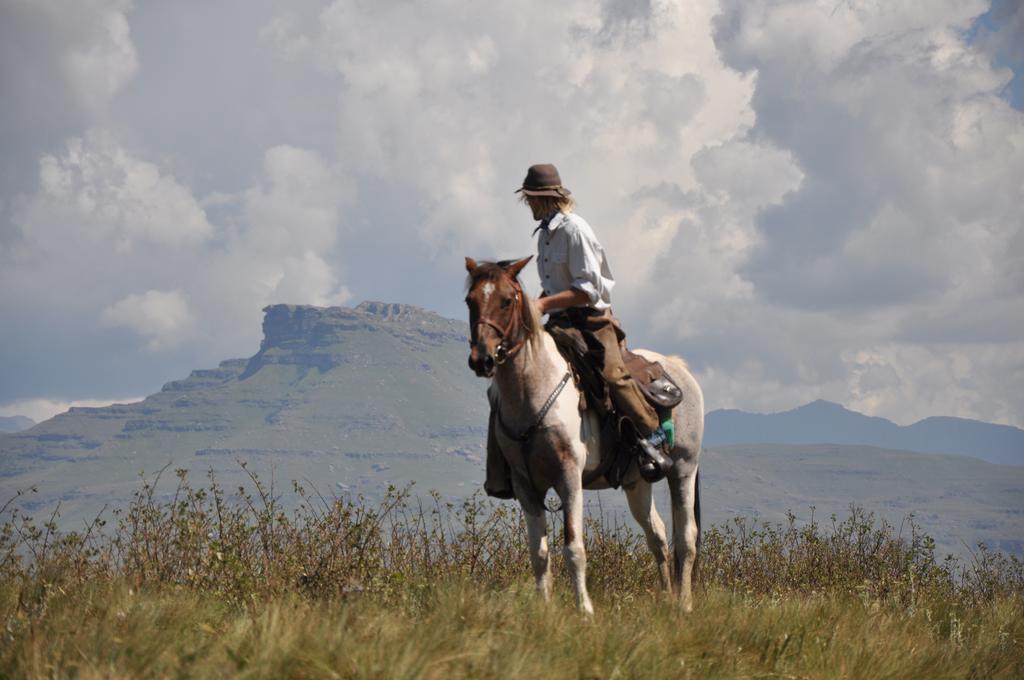 Khotso Lodge & Horse Trails 언더버그 외부 사진